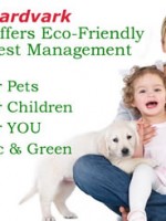 eco friendly pest management