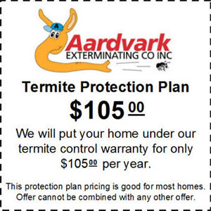 termite protection plan